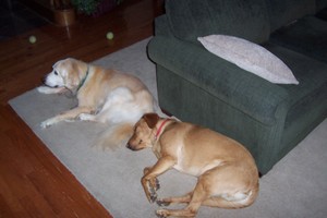 Charlie and Hannah