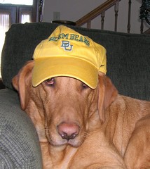Hannah Sic'em