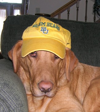 Hannah Sic'em
