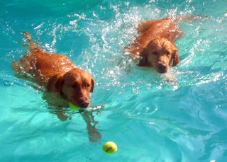 Hannah and bailey_small