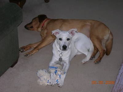 Trigger and Hannah
